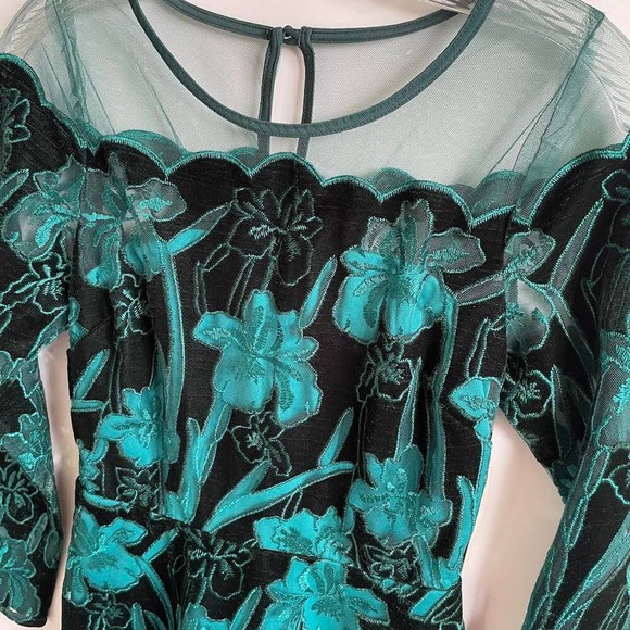 NWT Anthropologie Eva Franco Juliet Teal Velvet Floral Dress - Picture 5 of 10